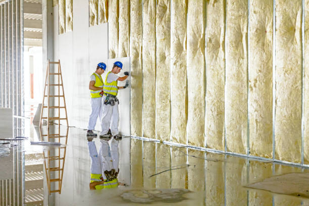 Best Cellulose Insulation in Marshfield, WI